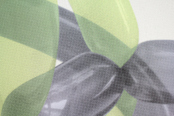 Ballon Purple Yellow