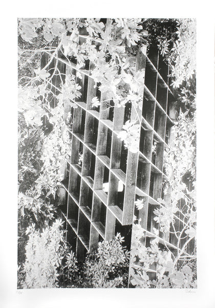 Modernist Buildings Trellis