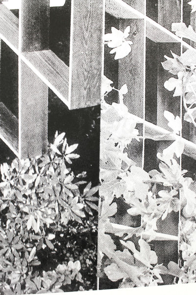 Modernist Buildings Trellis