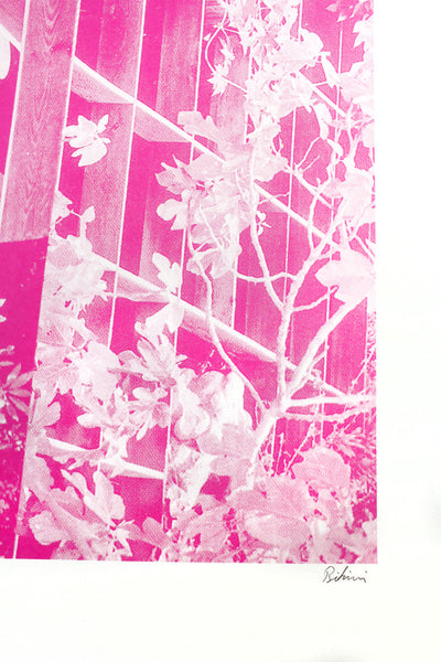 Modernist Buildings Trellis Pink